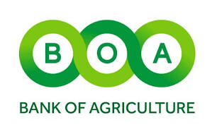 Workforce skills development