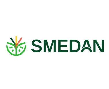 MSME capacity &amp; enterprise upgrading