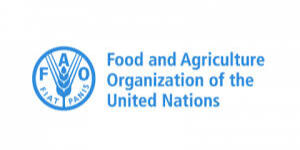 Export market development